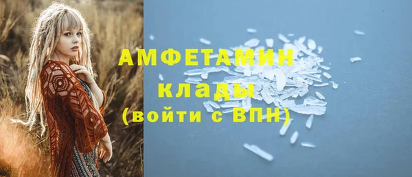 шишки Бородино