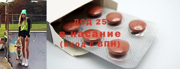 шишки Бородино