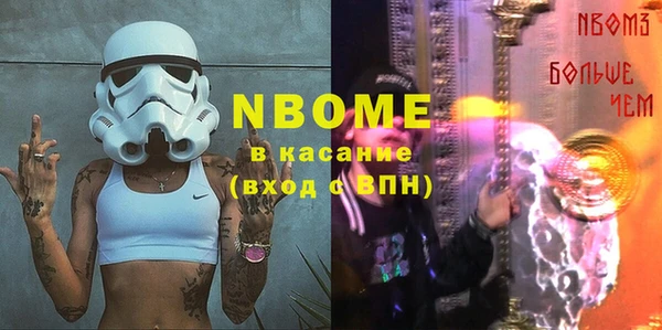 гашик Алексин